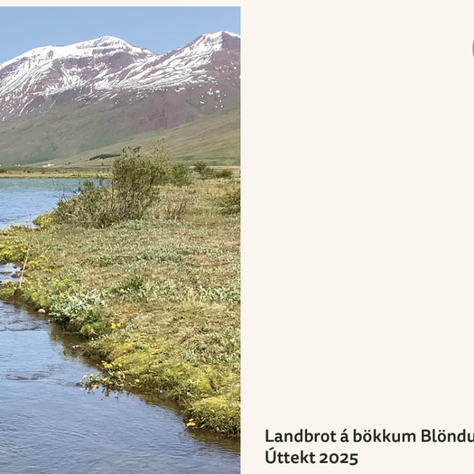 Áhugaverð skýrsla. Mynd: Af netinu.