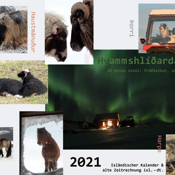 Forsíða dagatals Karólínu í Hvammshlíð fyrir árið 2021. Aðsendar myndir.