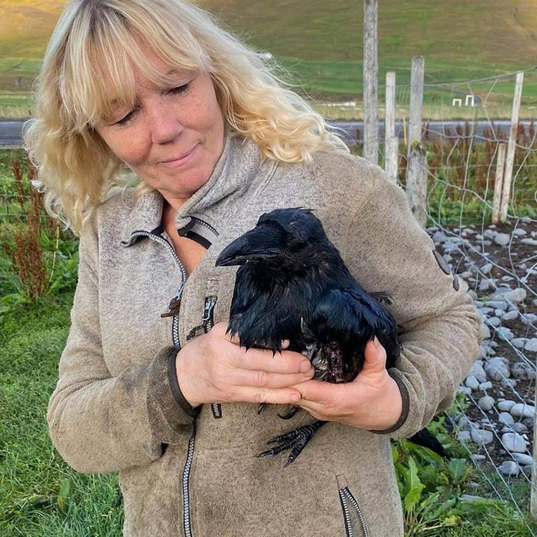 Birgitta H. Halldórdóttir heima í sveitinni. MYND AÐSEND