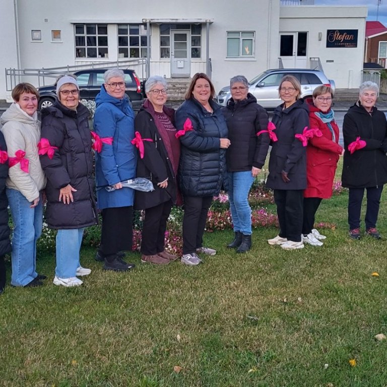 Nokkrar bleikar Bjarkir. Mynd: Aðsend.