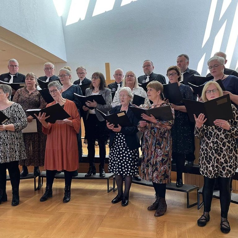 Kirkjukór Blönduóskirkju söng á tónleikunum að lokinni hátíðarmessu. Myndirnar sem hér fylgja fékk Feykir að láni hjá Gísla Gunnarssyni vígslubiskup.