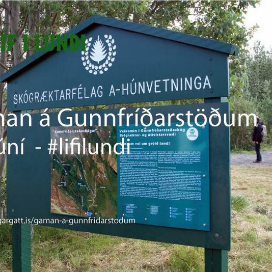 Skógræktarfélag A- Húnvetninga. Mynd. FB - Líf í lundi