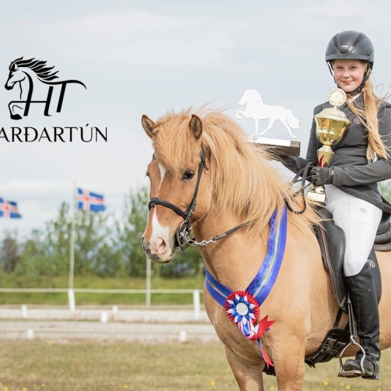 Hjördís Halla og Flipi frá Bergsstöðum. Mynd: Íslandsmót barna- og unglinga