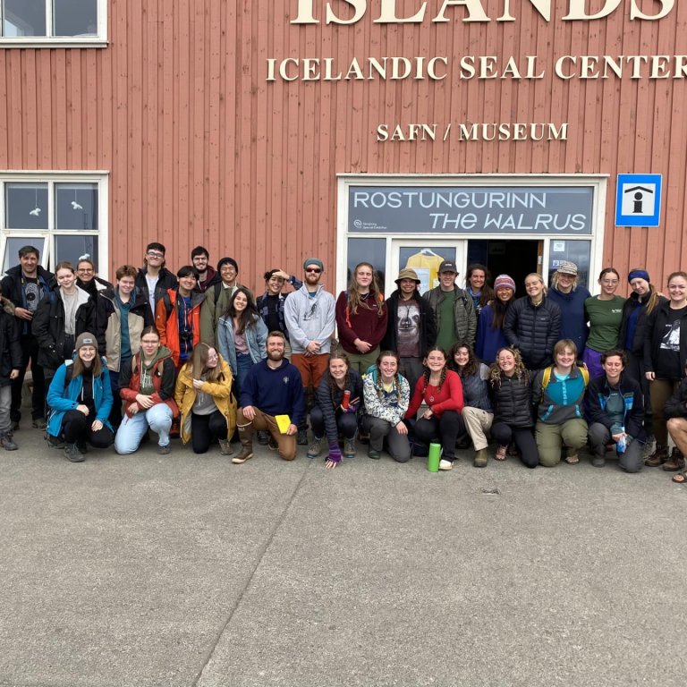 Sjálfboðaliðar Selatalningarinnar í ár. Mynd: Selasetur Íslands