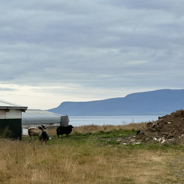 Dagleg staða á Gránumóum MYND:aðsend
