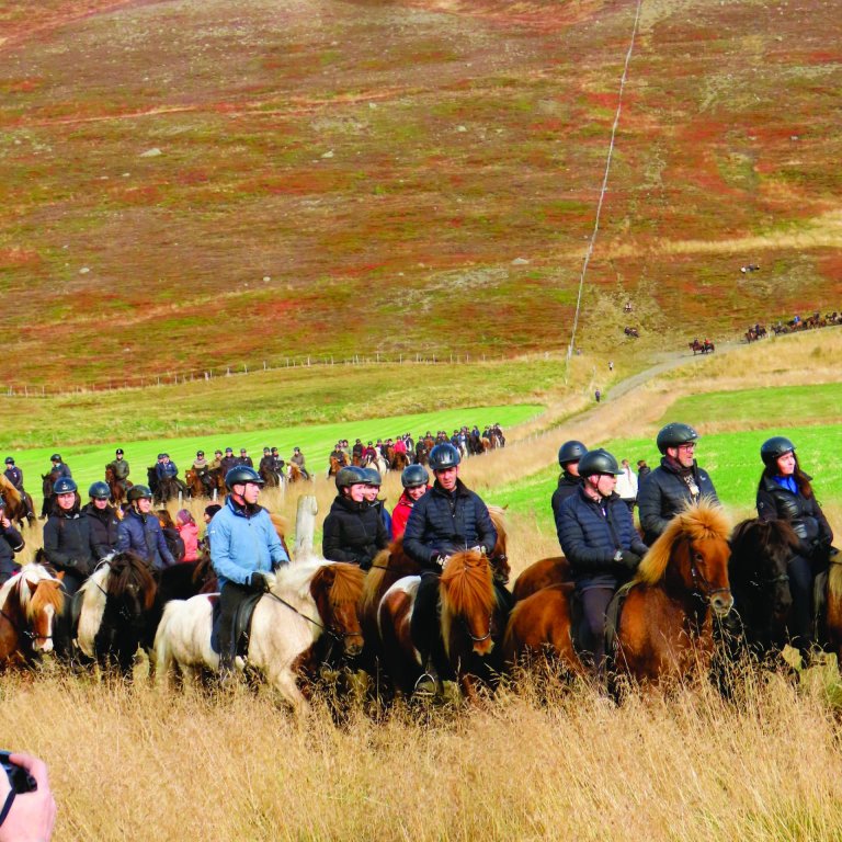 MYND ÁSDÍS GARÐARSDÓTTIR