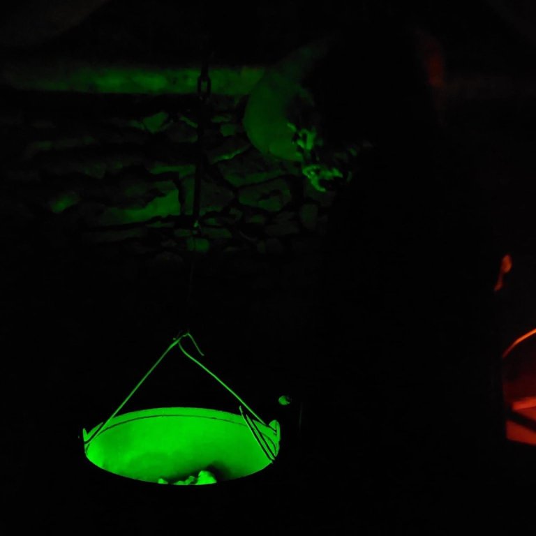 MYND AF FACEBOOKSÍÐU VIÐBURÐAR