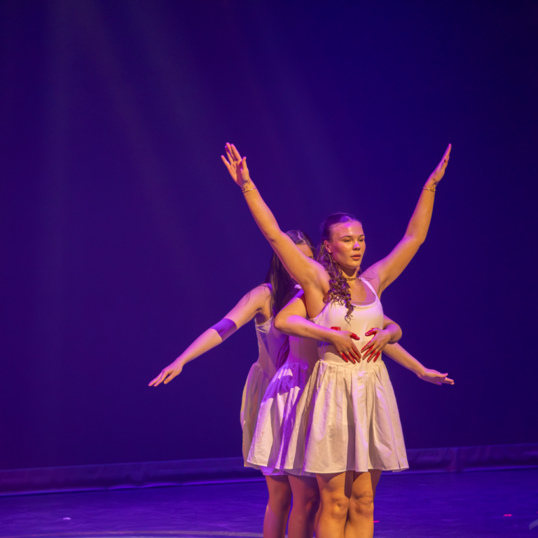 Mynd tekin af Fiðringi 2024 af Unni Önnu Árnadóttur. Mynd tekin af hunathing.is