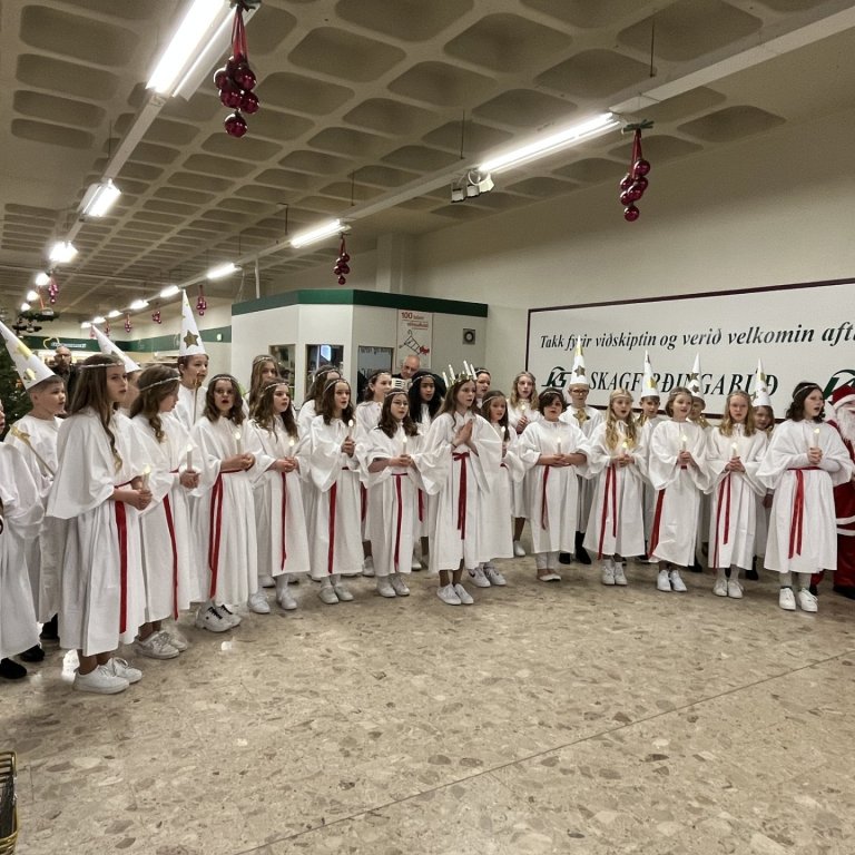 Mynd af hópnum í fyrra. MYND ÁRSKÓLI