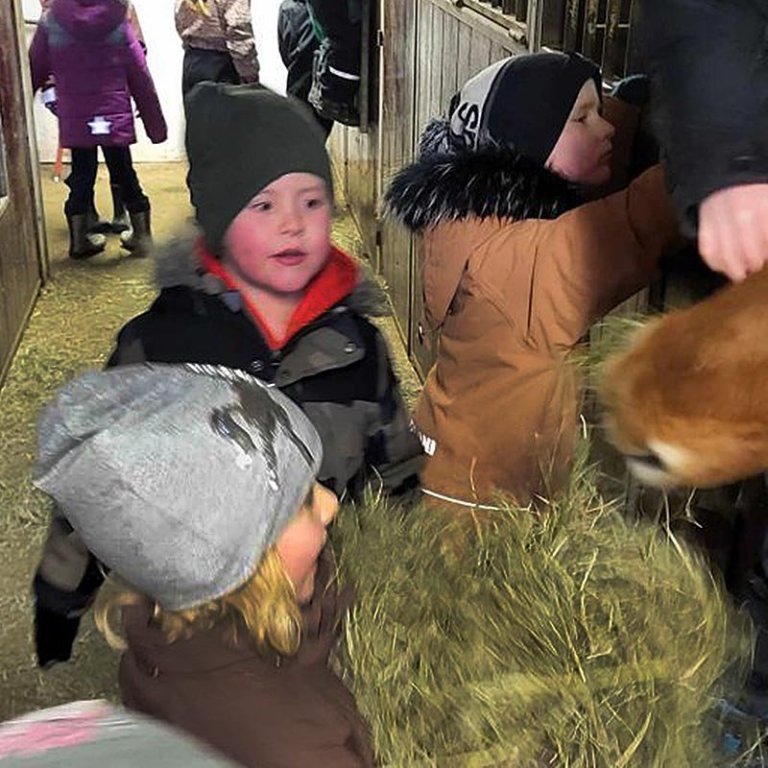 Hasar í hesthúsi. MYNDIR: HÖFÐASKÓLI.iS