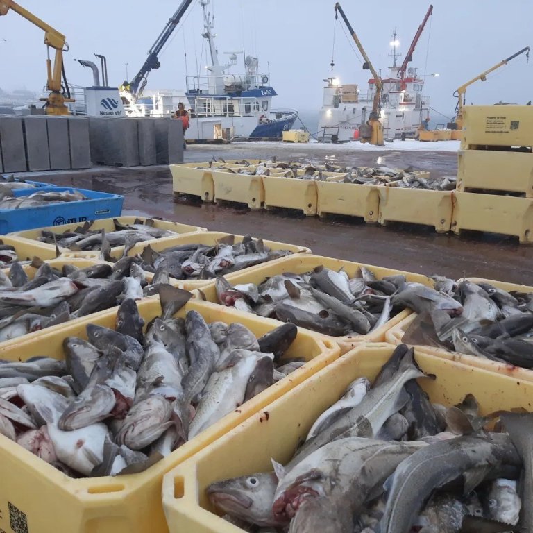 Mynd tekin af Facebook-síðu Skagastrandarhafnar.