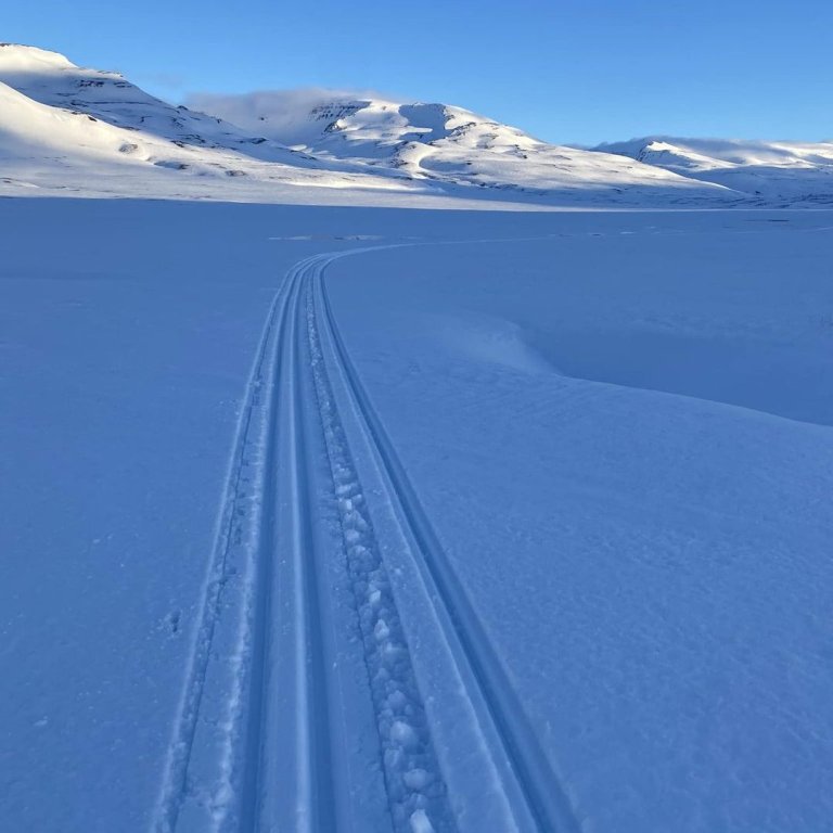 MYND.FACEBOOK FLJÓTAMÓT