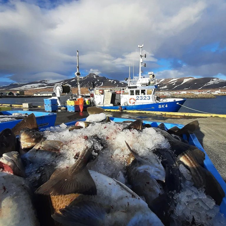 Frá Skagastrandarhöfn. MYNDIR: SKAGASTRANDARHÖFN FB