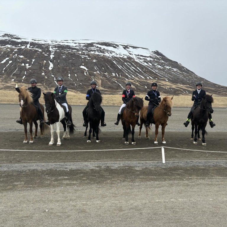 MYND FACEBOOKSÍÐA SKAGFIRÐINGS