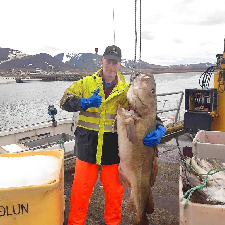 Bessi Gunnarsson með 44 kílóa þorsk. MYND AF FB SKAGASTRANDARHAFNAR