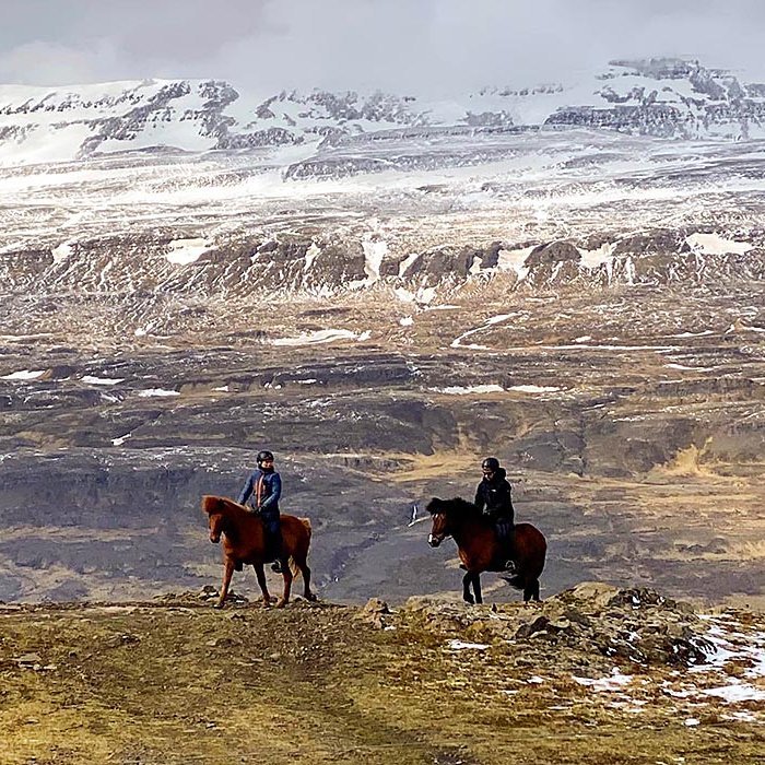 Þeir bændur sem tök höfðu á smöluðu áður óveðrið skall á. Þessi mynd er frá í gær en heldur verssnaði í því undir morgunn þegar hvessti og fór að snjóa. MYND: EVELYN ÝR