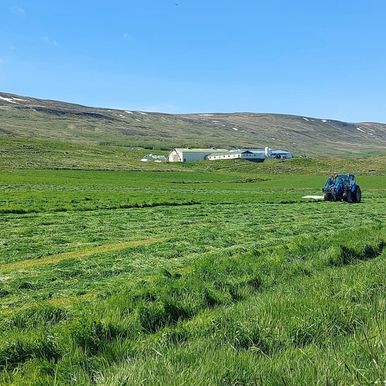Sláttur á Sólheimum hófst sl. helgi. Mynd: Guðrún Kristín Eiríksdóttir