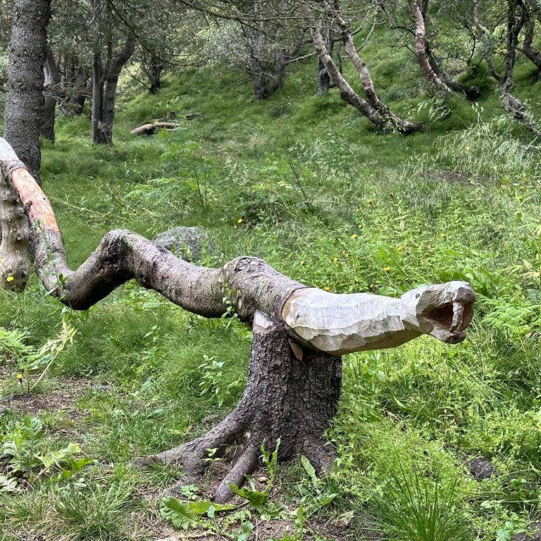 Myndirnar tók Valgeir Kárason.