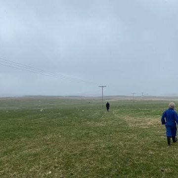 Á þessari mynd er verið að reka lambfé á hús í júní áður en fór að snjóa.MYND GG