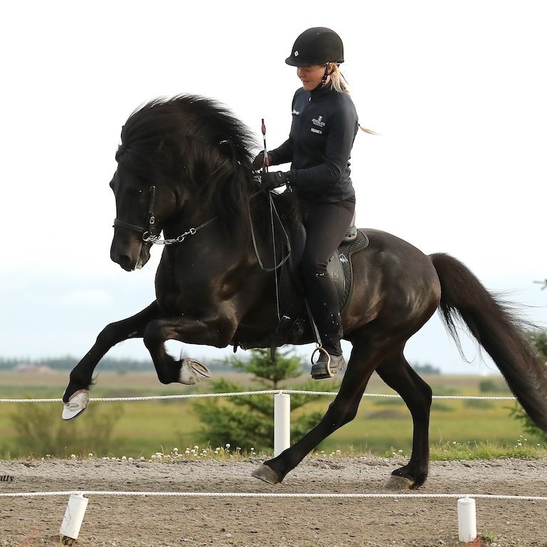 Hannibal frá Þúfum og Mette Mannseth.