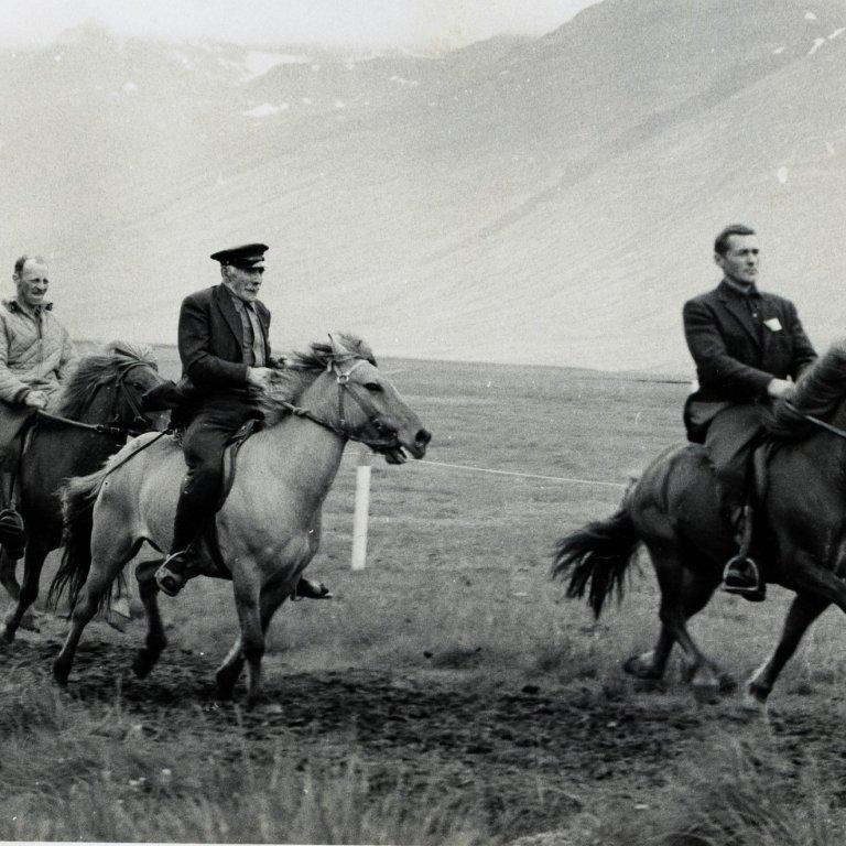 Björn Jóhannesson, Höskuldur Eyjólfsson og Jón Þorsteinsson teygja gæðinga sína á Landsmóti á Hólum 1966. Mynd: Einar E. Gíslason.