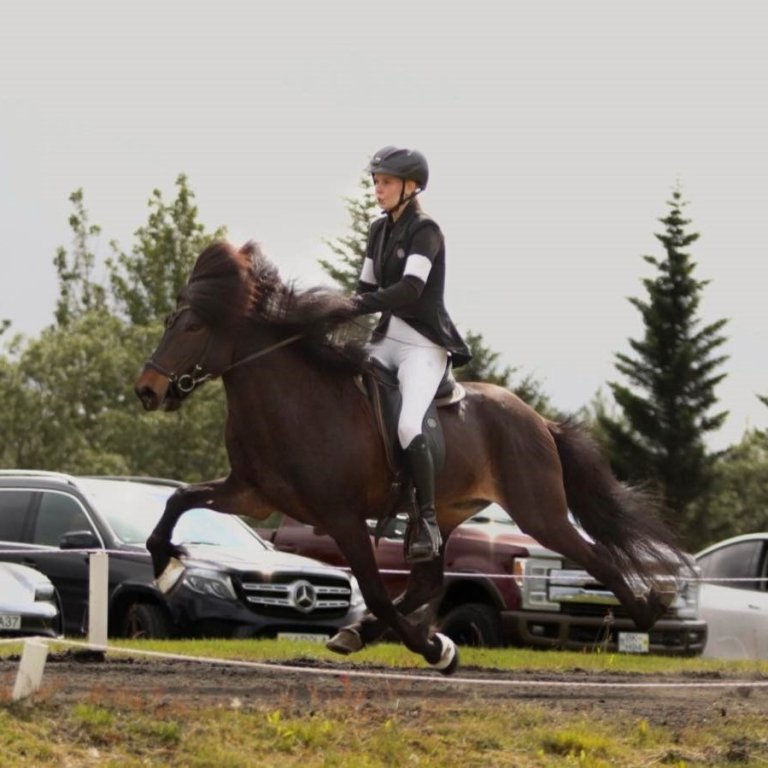 Þórgunnur og Djarfur á flugi. Mynd: Aðsend.