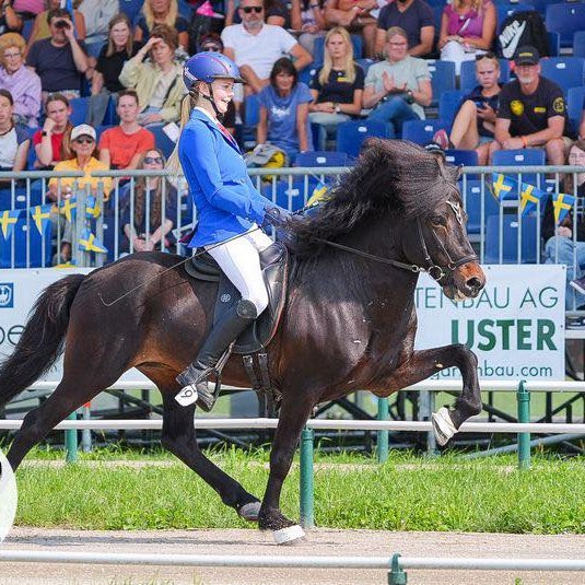 Þórgunnur og Djarfur í góðum gír á Hm. Mynd: KRIJN.DE