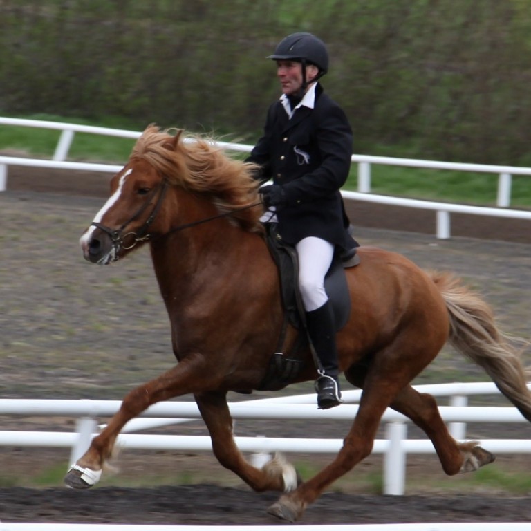 Opið íþróttamót Þyts dagana 17 - 18 Ágúst 2013