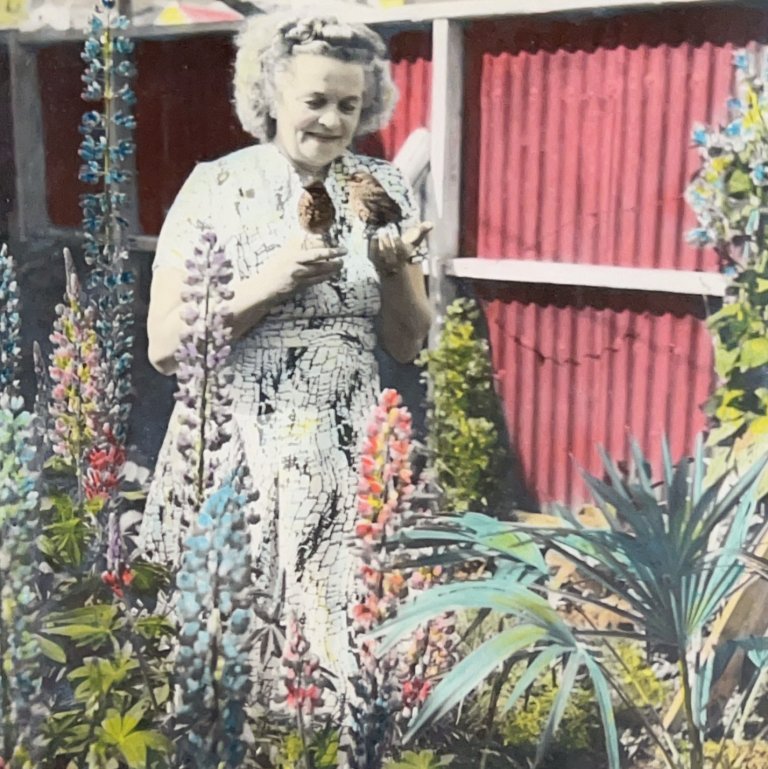 Þóra Rósa, verslunarkona á Sauðárkróki, ásamt þröstunum tveimur sem hún „fóstraði“.  Myndin var svart-hvít, en ljósmyndarinn Stefán Pedersen, eða Stebbi Ped, litaði hana.  MYNDIR AÐSENDAR