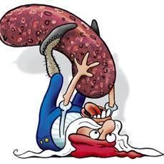 Bjúgnakrækir er níundi jólasveinninn og afskaplega fimur. Hann vatt sér upp í rjáfrin þar sem bjúgu héngu á eldhúsbitum, sat svo þar og gæddi sér á þeim. Eins og aðrir jólasveinar hefur hann þurft að sætta sig við breyttar aðstæður samfara minnkandi bjúgnagerð á heimilunum, en hefur sínar aðferðir til að verða sér úti um þau. Tekið af mjolk.is.