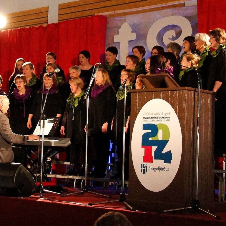 Frá skemmtidagskrá á atvinnulífssýningunni Lífsins gæði og gleði árið 2014. MYND: ÓAB