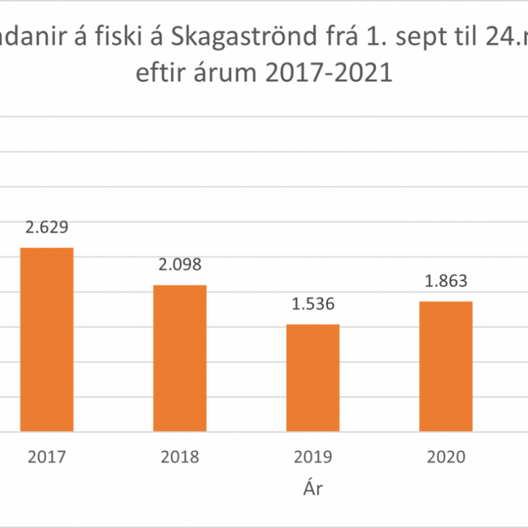 Landanir á fiski á Skagaströnd frá 1. september til 24. nóvember árin 2017 til 2021. MYND AF SKAGASTRÖND.IS