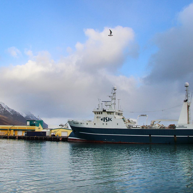 Málmey í Sauðárkrókshöfn en í síðustu viku skilaði Málmeyjan rúmum 136 tonnum í land. MYND: ÓAB