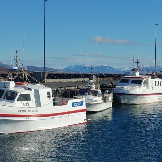 Úr smábátahöfninni á Skagaströnd. MYND: Ómar Una