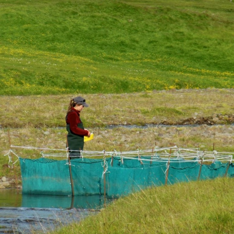 Amy Fingerle við rannsóknir. Mynd: holar.is.