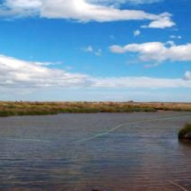 Mynd: visithunathing.is