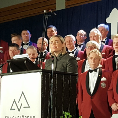 Atvinnulífssýningin á Sauðárkróki - Myndband