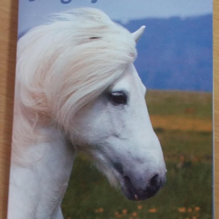 Skagafjarðarbæklingur kominn út