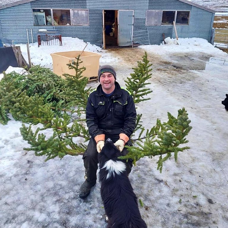 Það er gaman í sveitinni! AÐSEND MYND