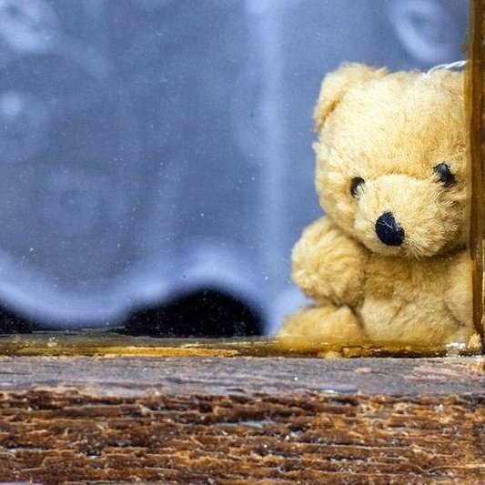 Bangsi út í glugga getur skemmt mörgum í samkomubanninu sem nú ríkir á landinu. Mynd: FB Bangsaveiðar í Skagafirði.