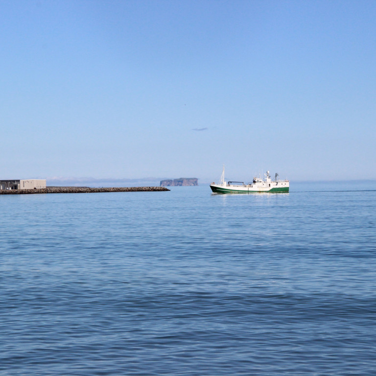 Atvinnuveganefnd skoðar lækkun veiðigjalda