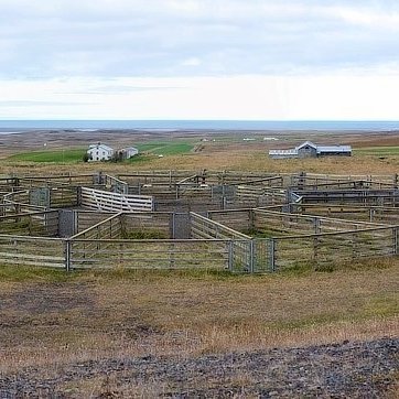 Beinakeldurétt er við Reykjabraut rétt austan og ofan við Beinakeldu. Afréttarlandið er Sauðadalur sem staðsettur er á milli Svínadalsfjalls og Vatnsdalsfjalls. Mynd: hunavatnshreppur.is.