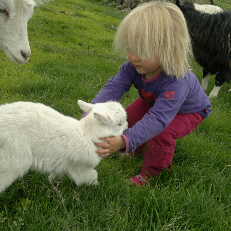 Það eru bæjirnir Sölvanes, Lýtingsstaðir og Stórhóll sem standa fyrir Fjársjóðsleit fram í sveit á sunnudaginn. Mynd: Sigrún Indriðadóttir