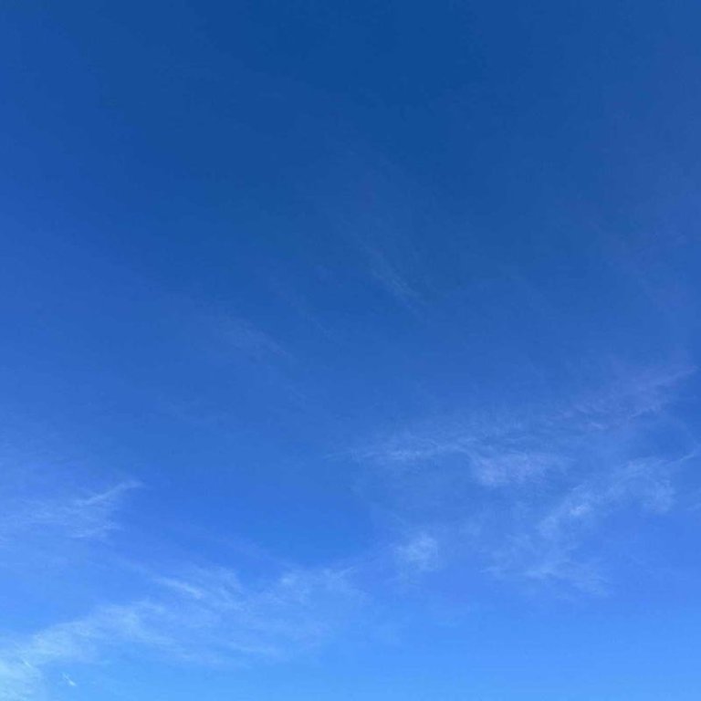 Svona var staðan í hádeginu í dag og í skjóli fyrir norðangolunni var hægt að hæggrillast í görðum á Króknum og efalaust víðar hér í westrinu. MYND: ÓAB