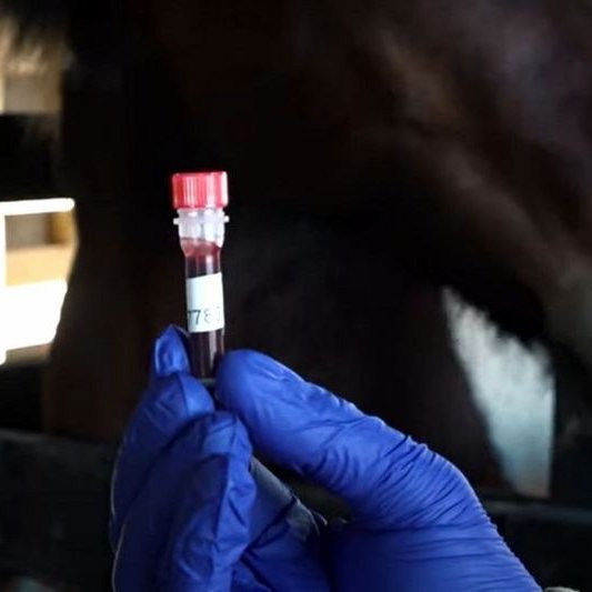 Skjáskot af myndbandi á heimasíðu ISTEKA.