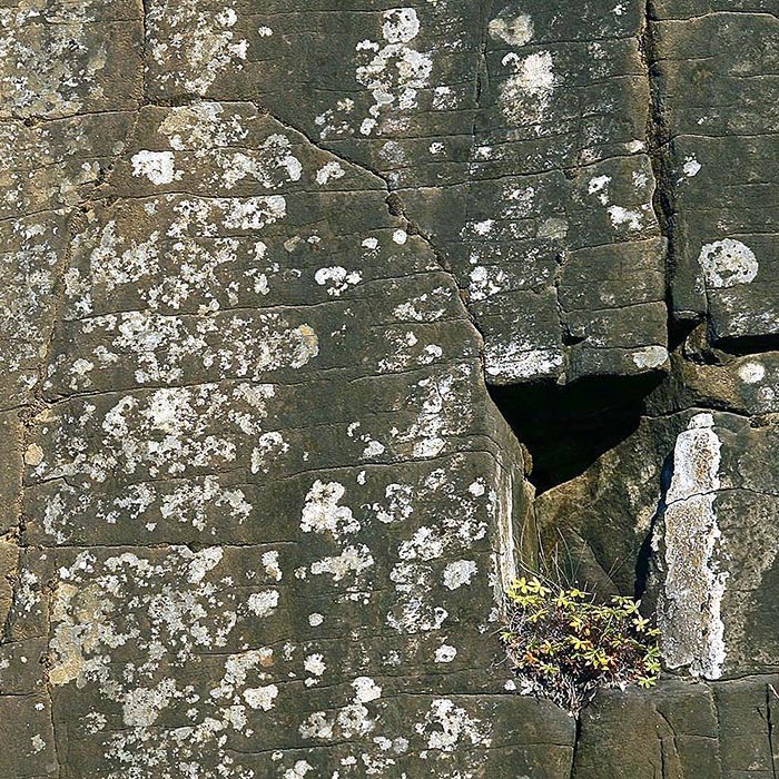 Íbúar í Hegranesi vilja halda í félagsheimilið sitt svo að menningarlíf þar megi blómgast. MYND: ÓAB