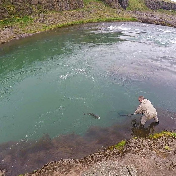 Veitt í Blöndu á fallegum degi. MYND: STEBBI LÍSU