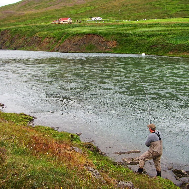 Vaskur veiðmaður rennir fyrir lax í Blöndu. MYND: STEBBI LÍSU