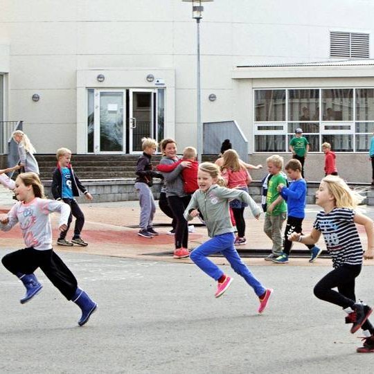 Mynd af vef heilbrigðisráðuneytisins.