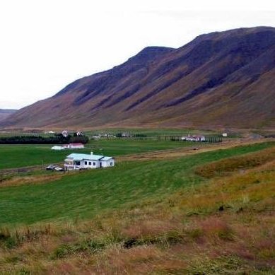 Mynd 17, horft yfir túnið á Botnastöðum, hvítahúsið næst á myndinni er Bólstaður, fjárhús eru þar fyrir ofan og félagsheimilið Húnaver lengra til hægri og Bólstaðarhlíð í fjarska þar á milli. Mynd: Byggðasafn Skagfirðinga.